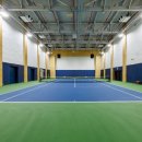 디 아넥스 이미지