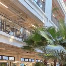 씨유 옥정이편한제일점 | 옥정베이커리 찾다 발견한 양주대형카페｜하패리 61은 “카페가 아니라 정원을 걷는 느낌”