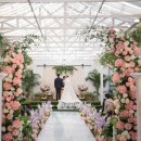 벨라하우스 이미지