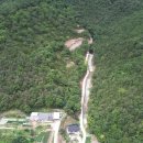 경북 의성군 2만평 산림경영, 목장부지용 임야 이미지