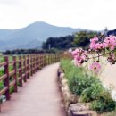 유등연지 둘레길 이미지