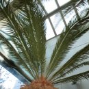 인삼랜드휴게소 이미지