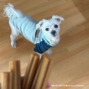 가온덴탈 | 노견 강아지 간식 추천 로렌츠 못난이 과일껌 덴탈껌 내돈내산 후기