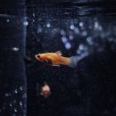 북어마을 이미지