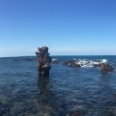 제주 비양도 호니토 이미지