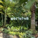 도동길 | 광주 시립수목원 | 화순 나주 20분 거리 | 광주나들이 명소 언제든 가기 좋은 곳