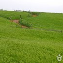 문경승마클럽 이미지