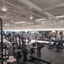 라인업휘트니스 이미지