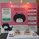 뽑기팡팡 | 고양이 집사의 필수 코스! | 2025 궁디팡팡 탐방 후기