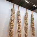 기발한식당 이미지