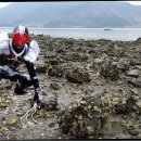 따러와PC 이미지