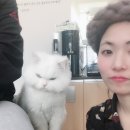 미사서울동물병원 이미지