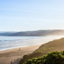 (주)팜텍 이미지