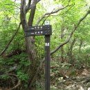 삼락정사 이미지