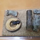 장풍이닷컴 이미지