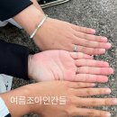 제주낙산로181