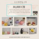 샤인플랜트