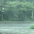 토담골막창앤곱창 이미지