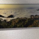 한국 카메라 박물관 이미지