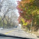 단천민박
