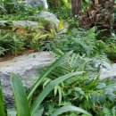 지티행정사사무소 이미지