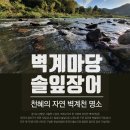 불밝히는집 이미지