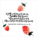 용인대 챔피언 유도관 이미지