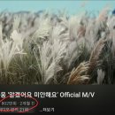 월드컵  노래연습장 | 임영웅 '알겠어요 미안해요' MV 800만뷰 돌파, 갈대숲 감성의 여운