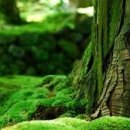 신토불이 이미지