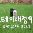 태정펜션 이미지