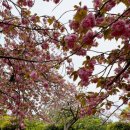 가락생태공원(2) 이미지