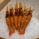 스시코우지고니 이미지