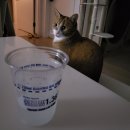 남양주양병원 | [ 남양주 양병원 ] 위내시경 대장내시경 국가건강검진 후기 / 대장내시경 식단