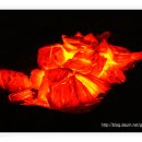 참숯가마골랜드 이미지