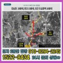 숲속의아침 이미지