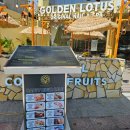 골든킥 키즈 짐 | 나트랑 깜란지역 골든로터스 스파엔네일 마사지 후기