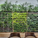 시흥시 치매안심센터(대야신천센터) 이미지