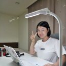 12 | 전동 모션데스크 높이조절책상 되는 소르니아 오르다 ORM12 후기