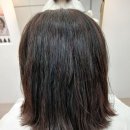 다옴헤어 이미지