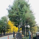 광평로10길(대모산1로) | [일상] 대모산 자락길 산책 코스 (고라니와 롯데타워뷰)