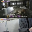 치킨돌 스포츠경향