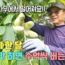 과일Farm