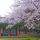 신산보건진료소 이미지