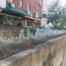 코스모스세탁소 이미지