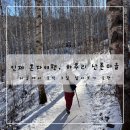 해산촌댁 | [인제] 시골에서 2박 3일 살아보기, 하추리 산촌마을 혼자하는 산촌여행 겨울 2편