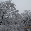 방호목장 이미지