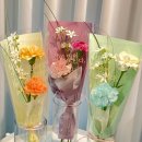 라피오레 이미지