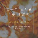 캔바로 카드뉴스 만들기 이미지