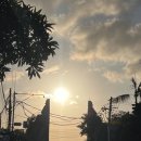 여리약국 이미지