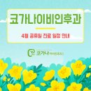 코가나이비인후과의원 이미지